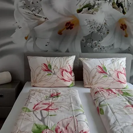 Gaestehaus - Cafe Frank Отель типа 