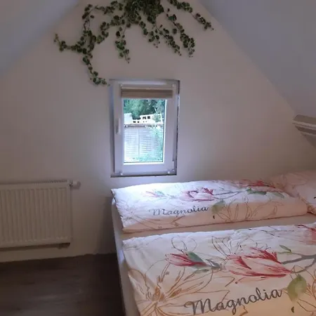 Gaestehaus - Cafe Frank 住宿加早餐酒店 3*