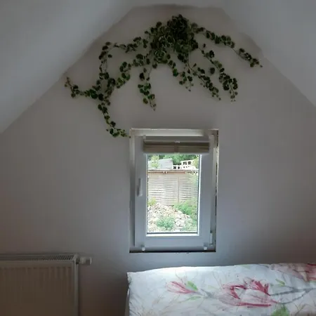 Gaestehaus - Cafe Frank 住宿加早餐酒店 3*