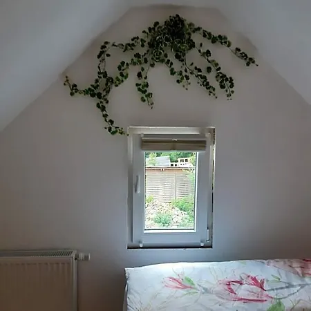 - Café Frank Bed & Breakfast 3*
