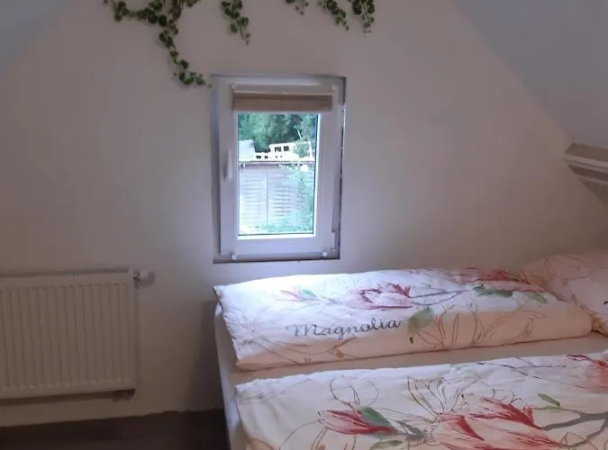 Gaestehaus - Cafe Frank Bed & Breakfast 3*