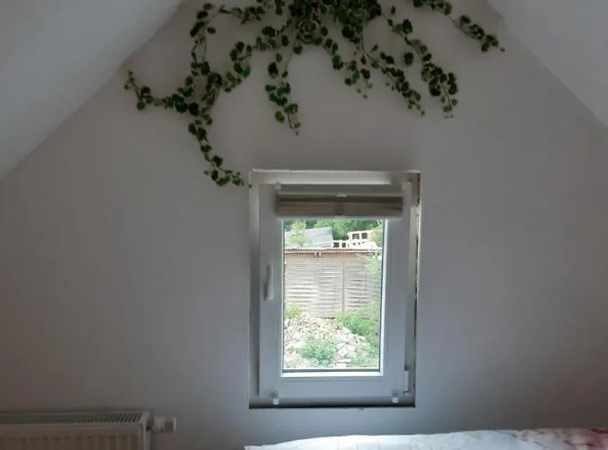 Gaestehaus - Cafe Frank Bed & Breakfast 3*